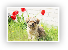 Betreuungsleistungen